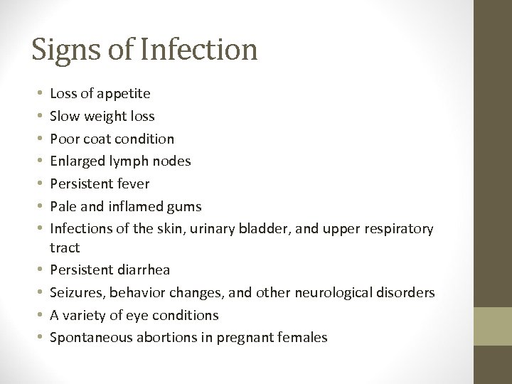 Signs of Infection • • • Loss of appetite Slow weight loss Poor coat