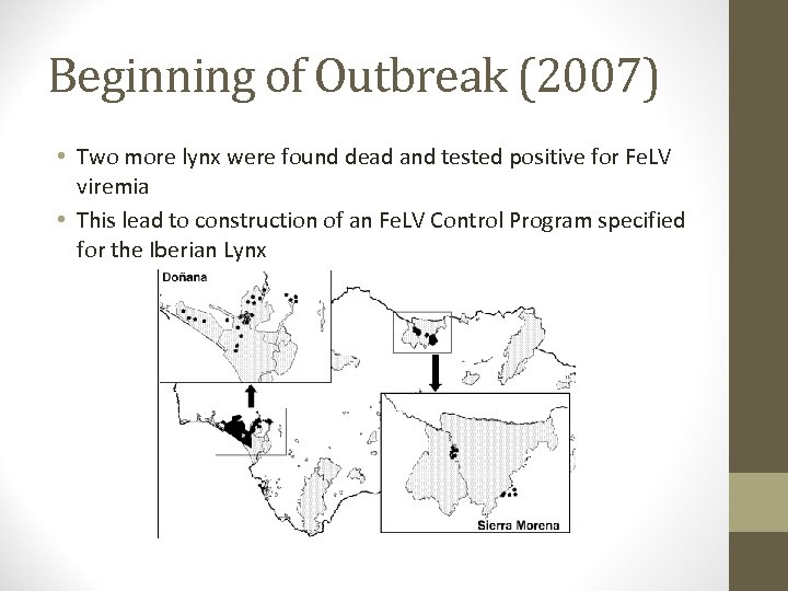 Beginning of Outbreak (2007) • Two more lynx were found dead and tested positive