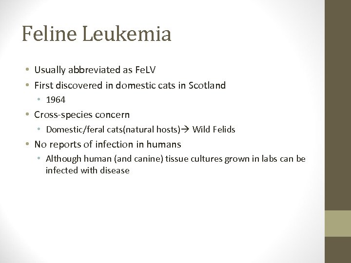 Feline Leukemia • Usually abbreviated as Fe. LV • First discovered in domestic cats