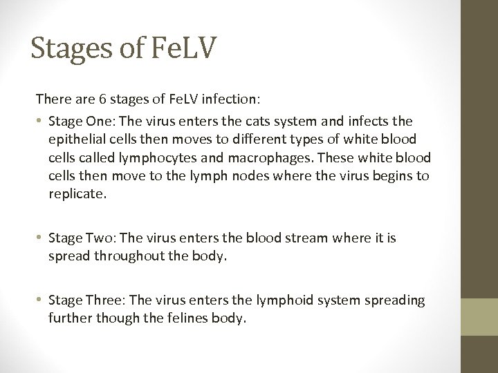 Stages of Fe. LV There are 6 stages of Fe. LV infection: • Stage