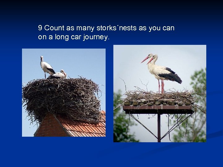 9 Count as many storks´nests as you can on a long car journey. 