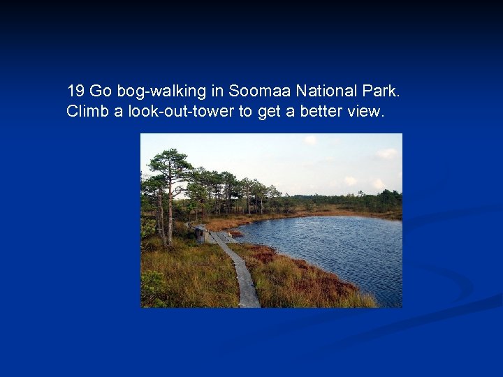 19 Go bog-walking in Soomaa National Park. Climb a look-out-tower to get a better