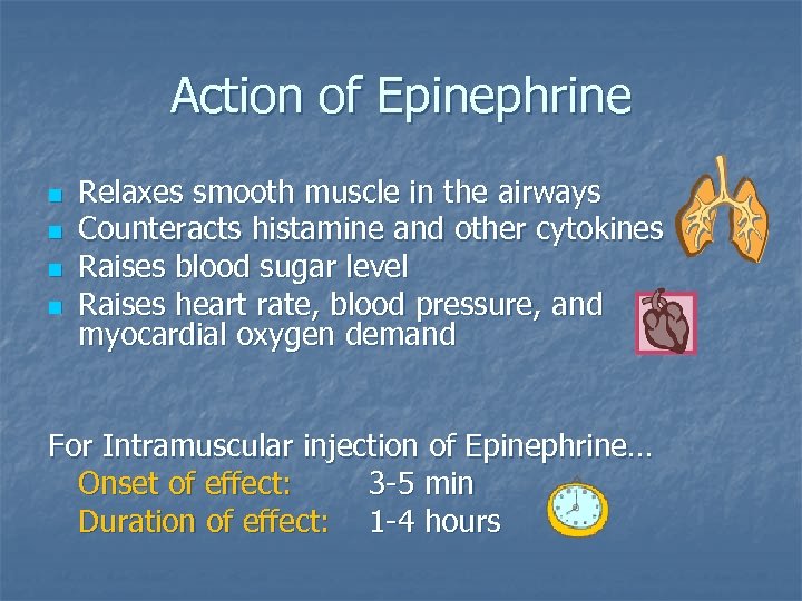 Action of Epinephrine n n Relaxes smooth muscle in the airways Counteracts histamine and
