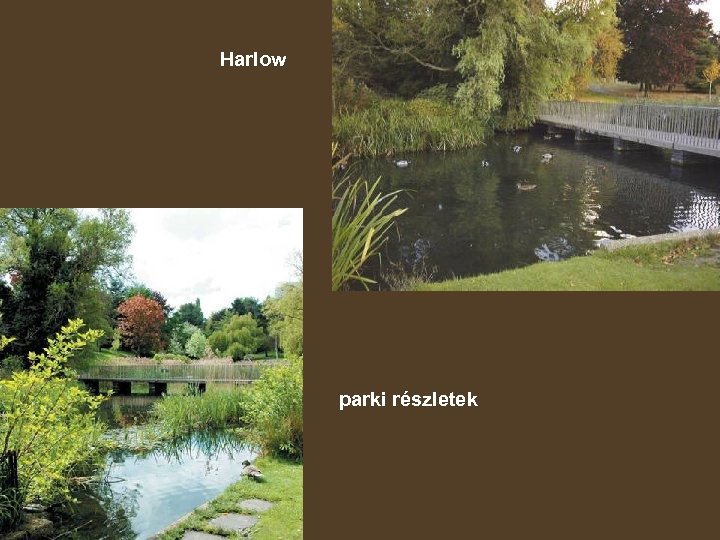 Harlow parki részletek 