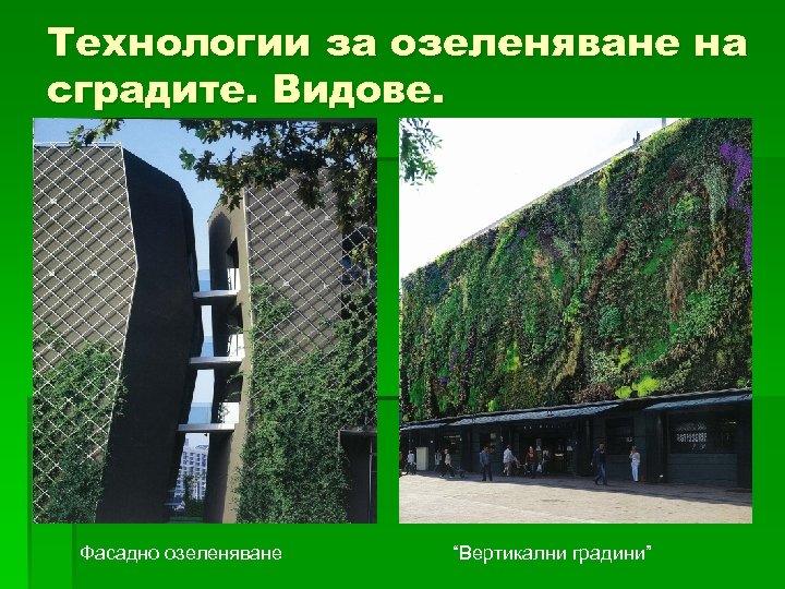 Технологии за озелeняване на сградите. Видове. Фасадно озеленяване “Вертикални градини” 
