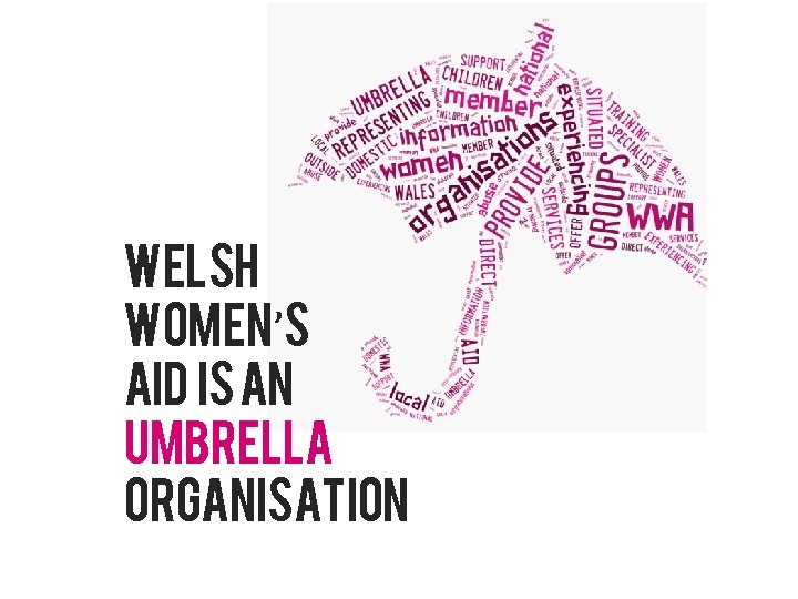 Welsh Women’s Aid is an umbrella organisation 