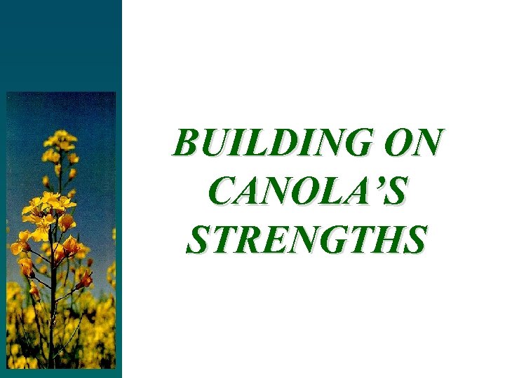 BUILDING ON CANOLA’S STRENGTHS 