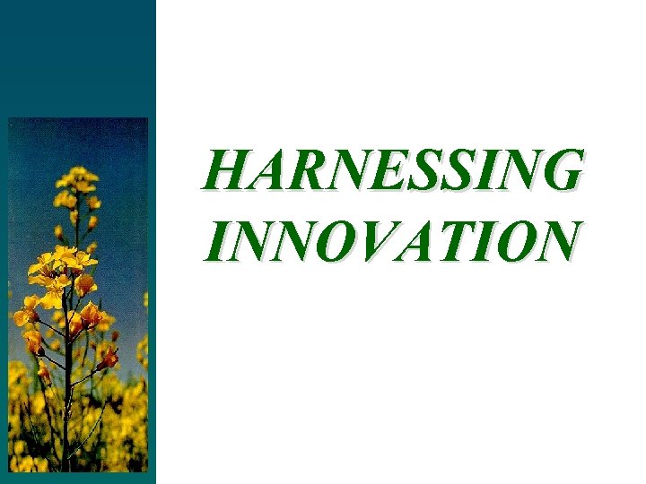 HARNESSING INNOVATION 