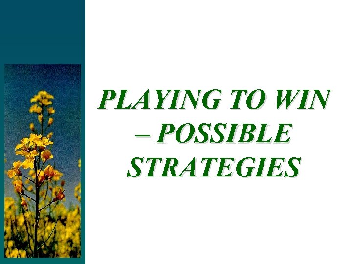 PLAYING TO WIN – POSSIBLE STRATEGIES 