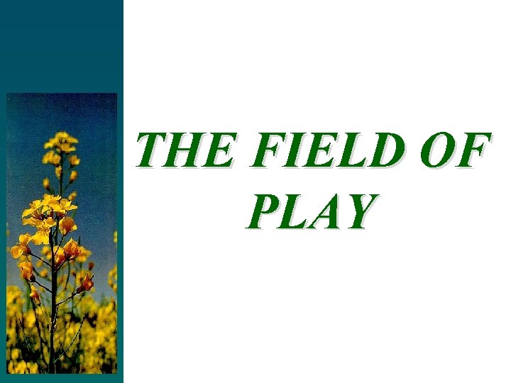 THE FIELD OF PLAY 