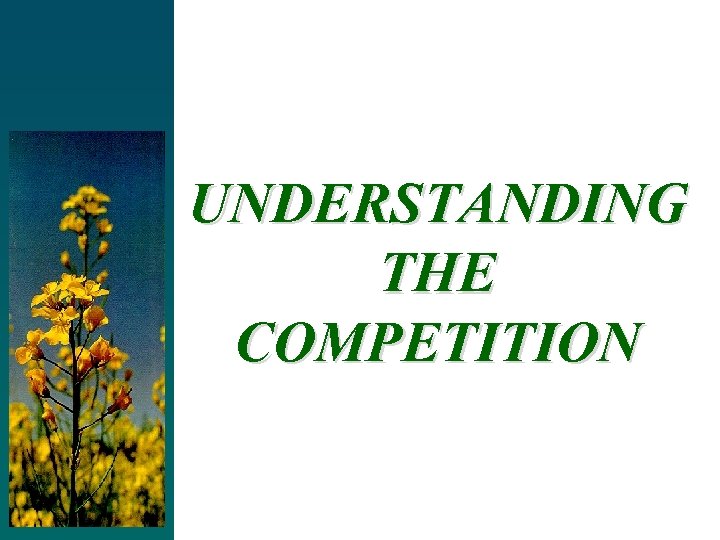 UNDERSTANDING THE COMPETITION 