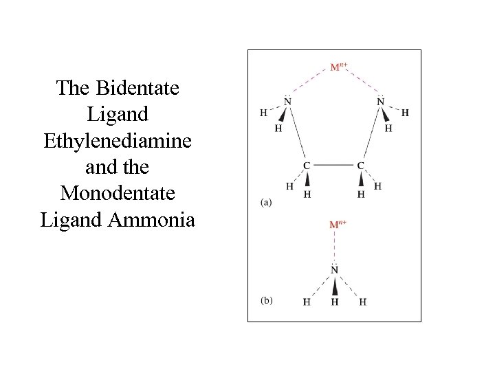 The Bidentate Ligand Ethylenediamine and the Monodentate Ligand Ammonia 