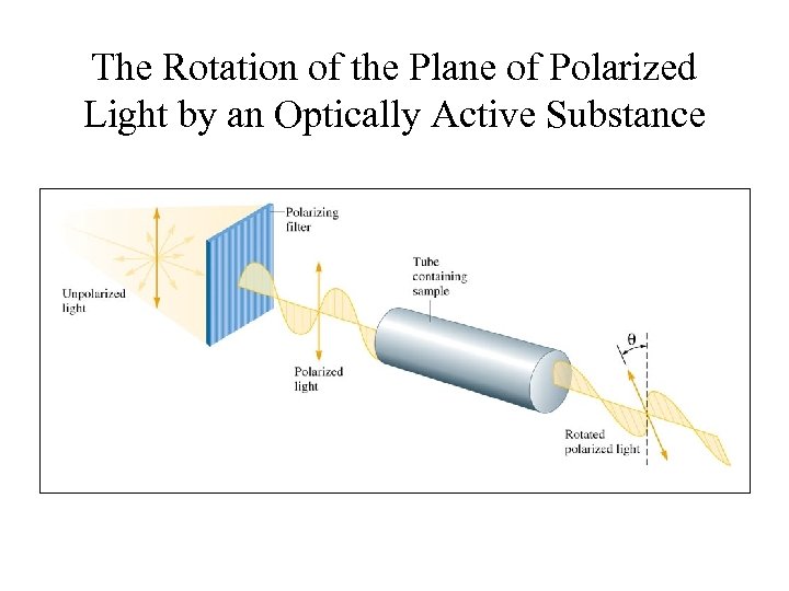 The Rotation of the Plane of Polarized Light by an Optically Active Substance 