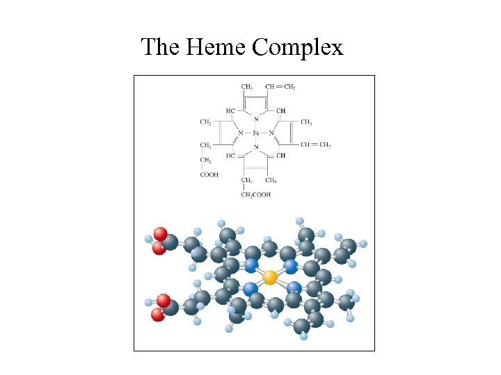 The Heme Complex 