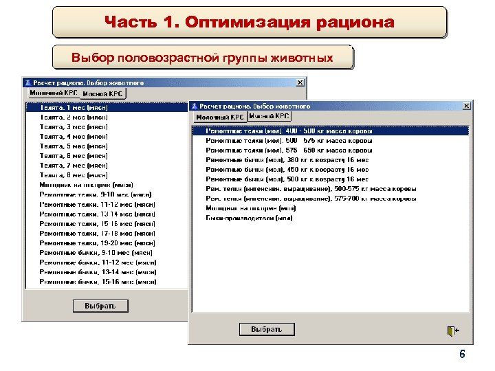 Часть 1. Оптимизация рациона Выбор половозрастной группы животных 6 