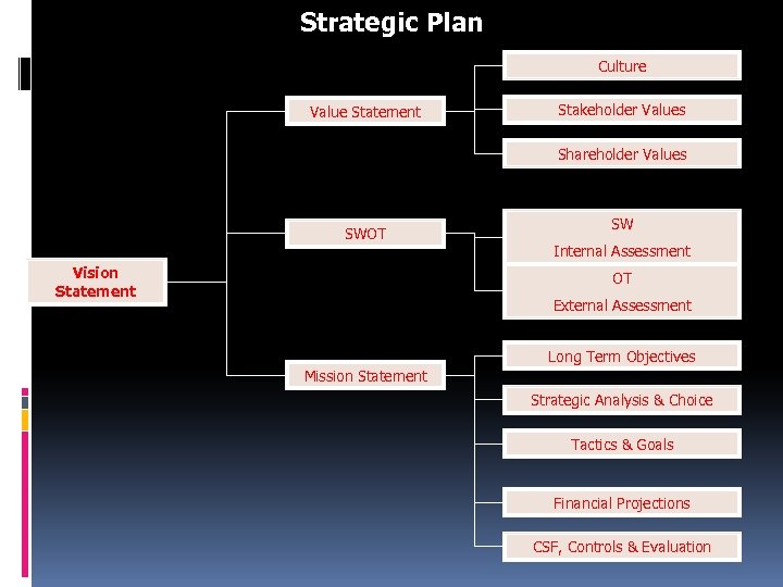 Strategic Plan Culture Value Statement Stakeholder Values Shareholder Values SWOT Vision Statement SW Internal