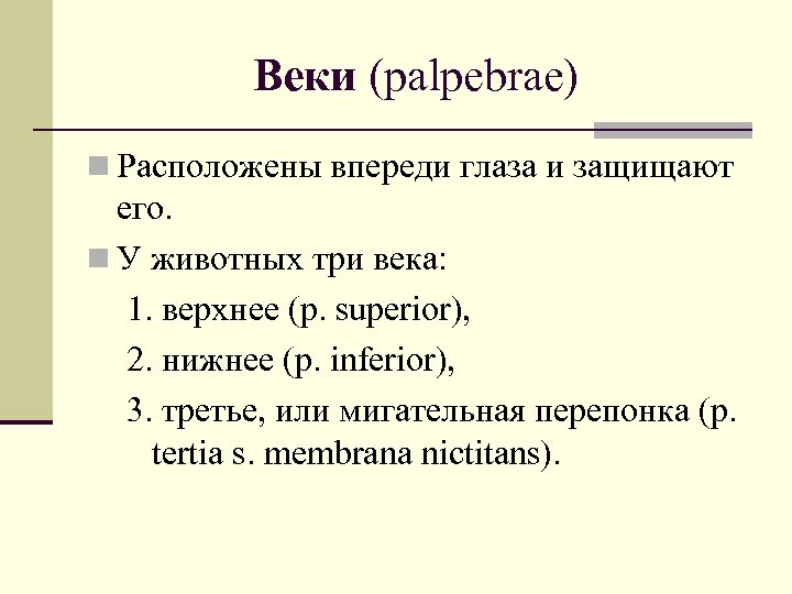 Веки (palpebrae) n Расположены впереди глаза и защищают его. n У животных три века: