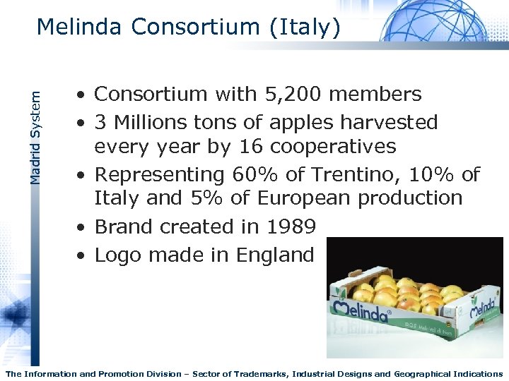 Madrid System Melinda Consortium (Italy) • Consortium with 5, 200 members • 3 Millions