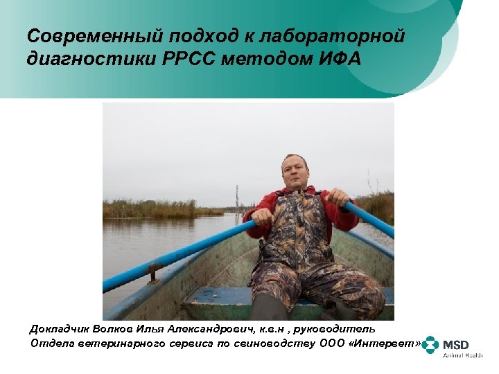 Современный подход к лабораторной диагностики РРСС методом ИФА Докладчик Волков Илья Александрович, к. в.