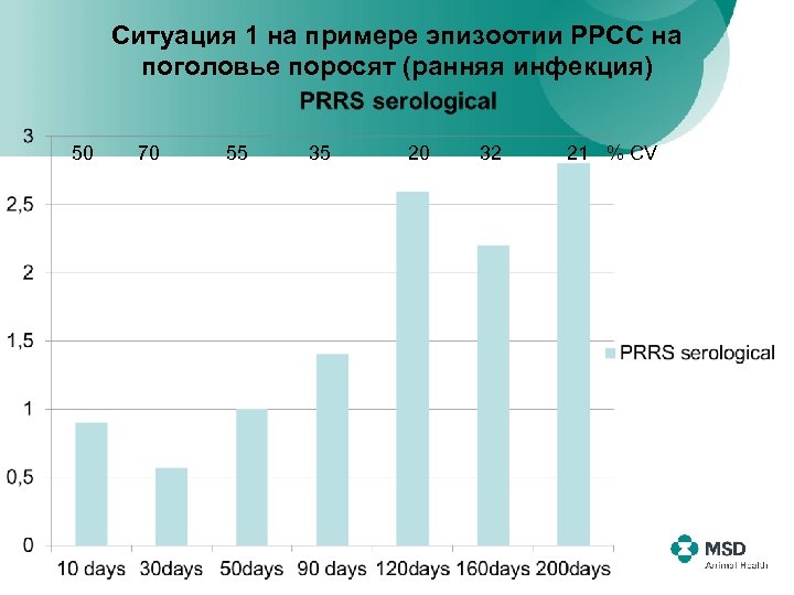 Ситуация 1 на примере эпизоотии РРСС на поголовье поросят (ранняя инфекция) 50 70 55