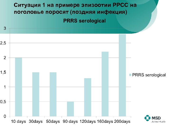 Ситуация 1 на примере эпизоотии РРСС на поголовье поросят (поздняя инфекция) 