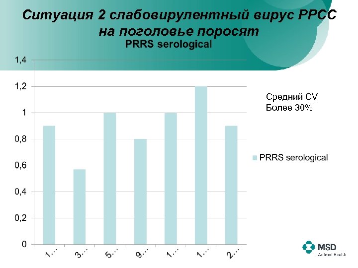 Ситуация 2 слабовирулентный вирус РРСС на поголовье поросят Средний СV Более 30% 