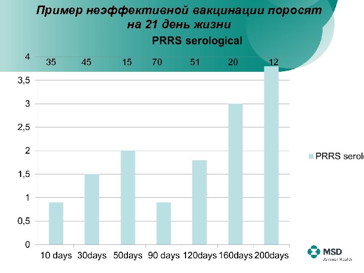 Пример неэффективной вакцинации поросят на 21 день жизни 35 45 15 70 51 20