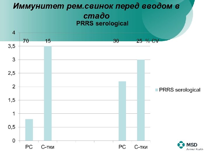 Иммунитет рем. свинок перед вводом в стадо 70 15 30 25 % СV 