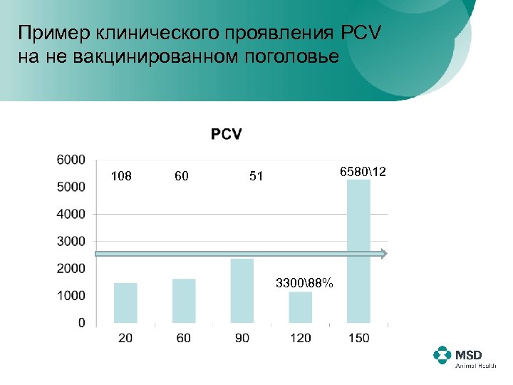 Пример клинического проявления PCV на не вакцинированном поголовье 108 60 658012 51 330088% 