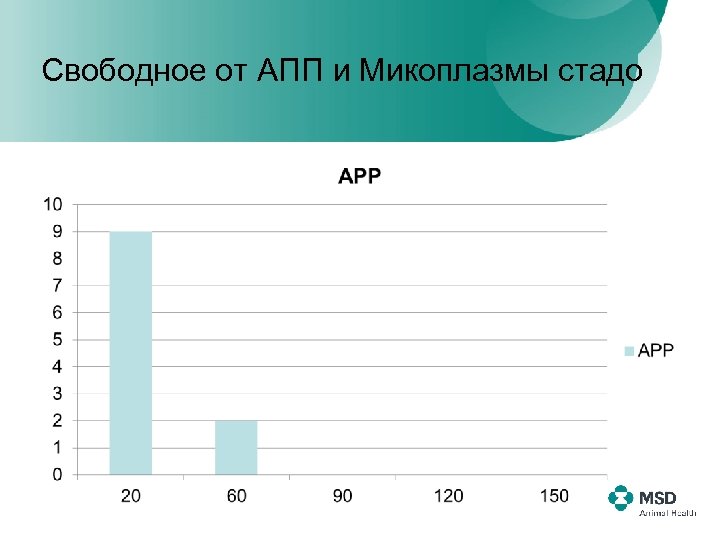 Свободное от АПП и Микоплазмы стадо 