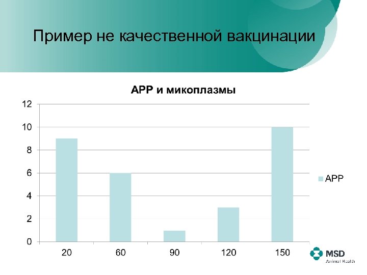Пример не качественной вакцинации 