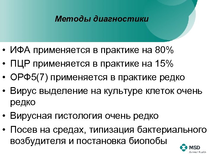 Методы диагностики • • ИФА применяется в практике на 80% ПЦР применяется в практике