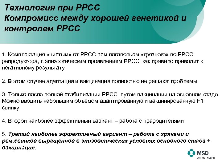 Технология при РРСС Компромисс между хорошей генетикой и контролем РРСС 1. Комплектация «чистым» от