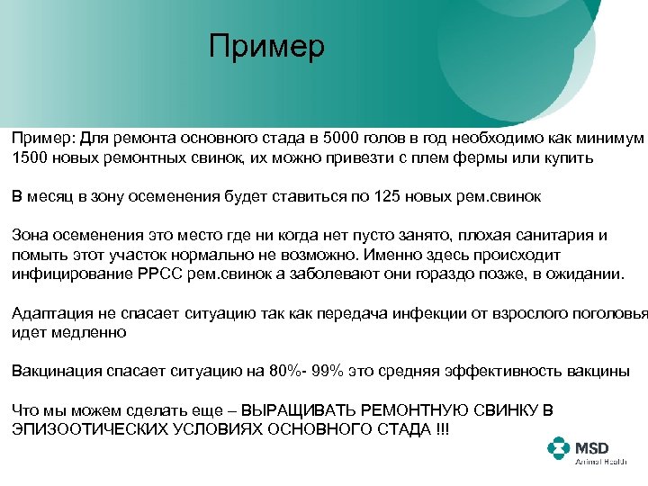 Пример: Для ремонта основного стада в 5000 голов в год необходимо как минимум 1500