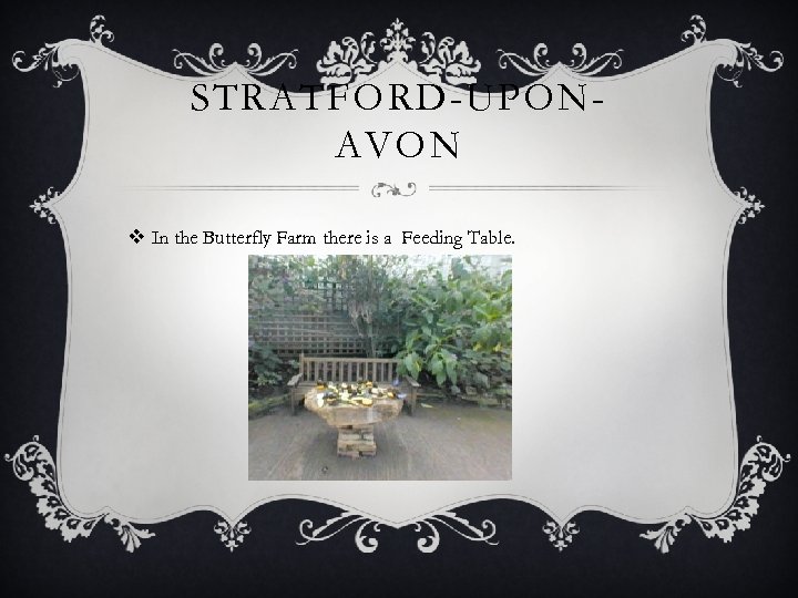 STRATFORD-UPONAVON v In the Butterfly Farm there is a Feeding Table. 