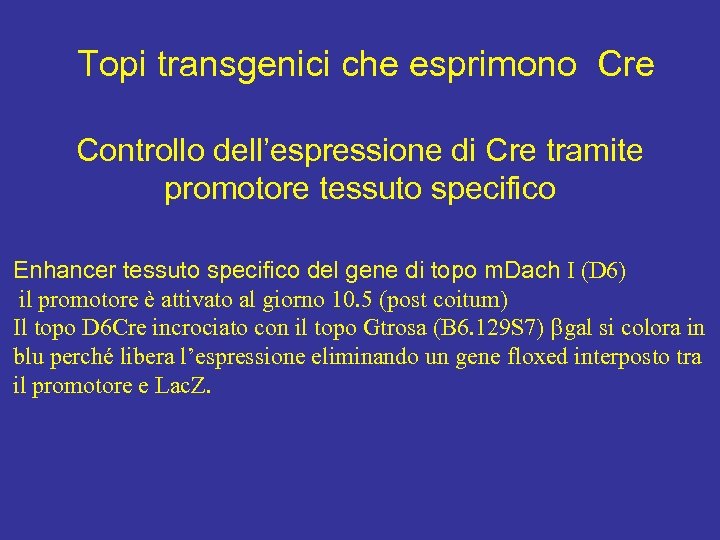 Topi transgenici che esprimono Cre Controllo dell’espressione di Cre tramite promotore tessuto specifico Enhancer