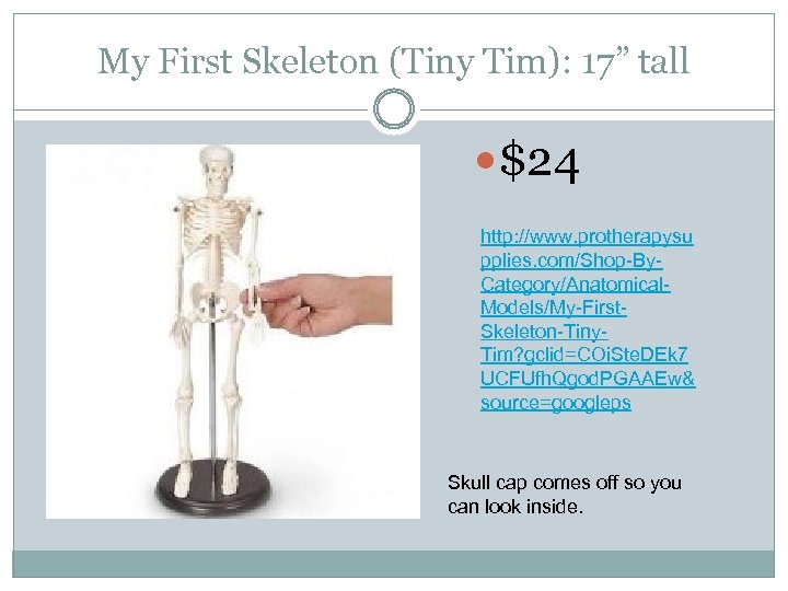 My First Skeleton (Tiny Tim): 17” tall $24 http: //www. protherapysu pplies. com/Shop-By. Category/Anatomical.