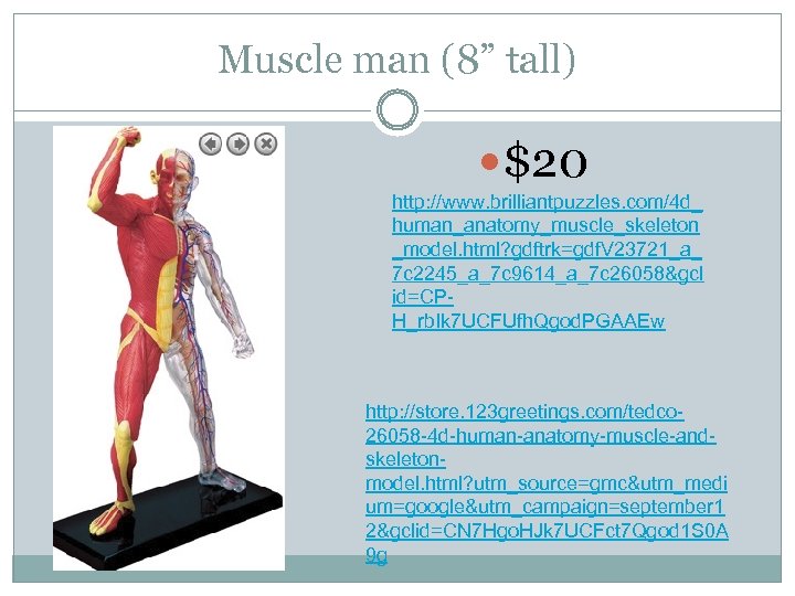 Muscle man (8” tall) $20 http: //www. brilliantpuzzles. com/4 d_ human_anatomy_muscle_skeleton _model. html? gdftrk=gdf.