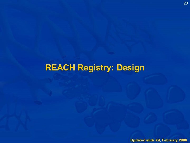 23 REACH Registry: Design Updated slide kit, February 2006 