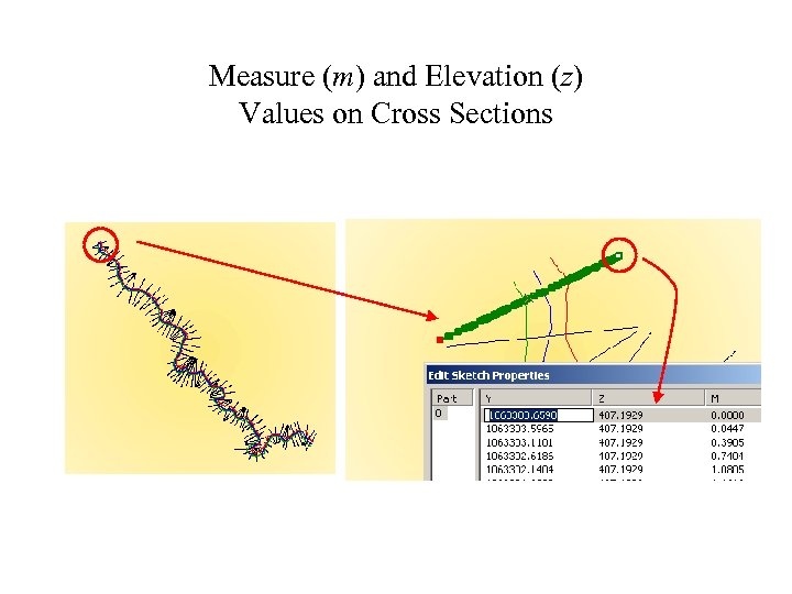 3 -D Polyline Z Measure (m) and Elevation (z) Values on Cross Sections 