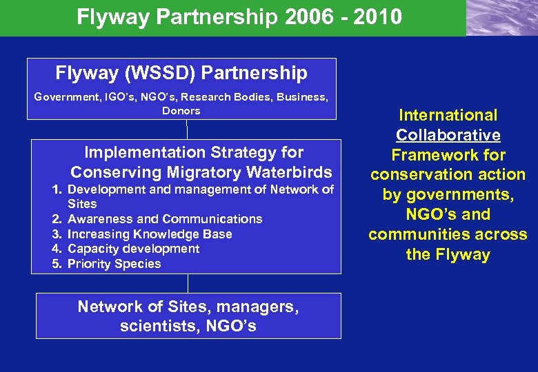 Flyway Partnership 2006 - 2010 Flyway (WSSD) Partnership Government, IGO’s, NGO’s, Research Bodies, Business,