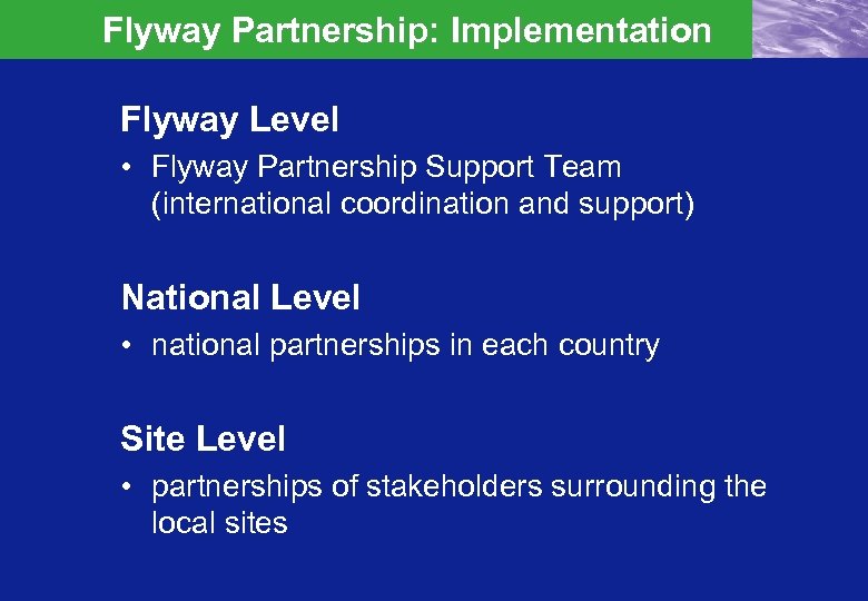 Flyway Partnership: Implementation Flyway Level • Flyway Partnership Support Team (international coordination and support)