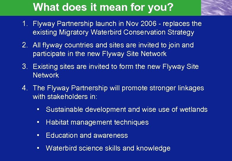 What does it mean for you? 1. Flyway Partnership launch in Nov 2006 -