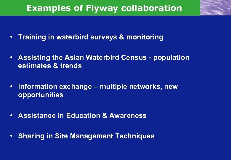 Examples of Flyway collaboration • Training in waterbird surveys & monitoring • Assisting the