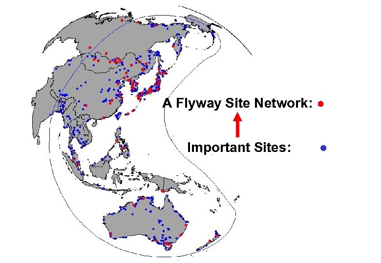 A Flyway Site Network: Important Sites: 