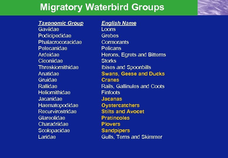Migratory Waterbird Groups Taxonomic Group Gaviidae Podicipedidae Phalacrocoracidae Pelecanidae Ardeidae Ciconiidae Threskiornithidae Anatidae Gruidae