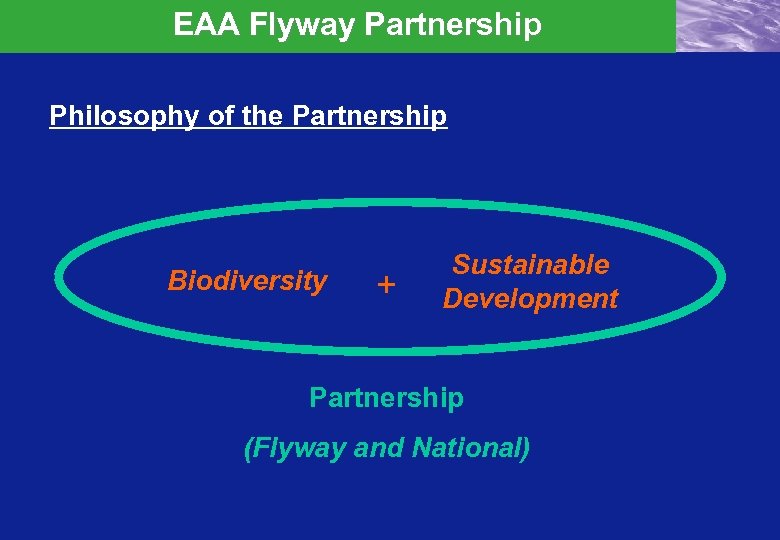EAA Flyway Partnership Philosophy of the Partnership Biodiversity + Sustainable Development Partnership (Flyway and