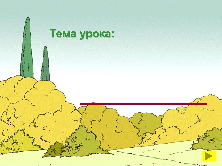 Тема урока: 