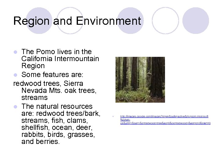 Region and Environment The Pomo lives in the California Intermountain Region l Some features