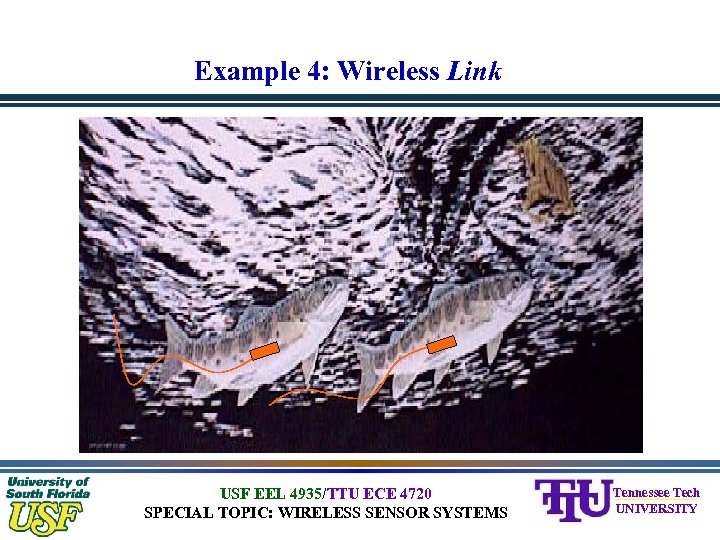 Example 4: Wireless Link USF EEL 4935/TTU ECE 4720 SPECIAL TOPIC: WIRELESS SENSOR SYSTEMS